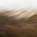 Reality Unfurled by Toni Toscano - Rustic 2.5 Walnut