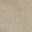 Organic Ceramic Sconce - Light Sand Porcelain Ceramic