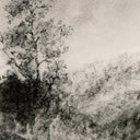 Landscape Study I by Aileen Fitzgerald - Rustic 1.5 Walnut