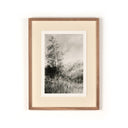 Landscape Study I by Aileen Fitzgerald - Rustic 1.5 Walnut