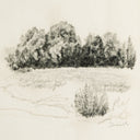 Land Sketch 1 by Dan Hobday - Rustic 1.5 Walnut