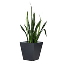 Koto Planter - Black Concrete