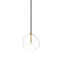 Glass Globe Pendant - Burnished Brass