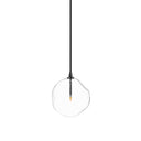 Glass Globe Pendant - Black Gunmetal