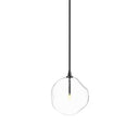 Glass Globe Pendant - Black Gunmetal