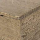 Quintin Trunk - Worn Oak