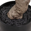 Faux Aralia Tree - Faux Aralia Tree | 6'