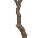 Faux Aralia Tree - Faux Aralia Tree | 6'
