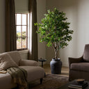 Faux Aralia Tree - Faux Aralia Tree | 6'