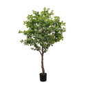 Faux Aralia Tree - Faux Aralia Tree | 6'