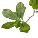 Faux Aralia Tree - Faux Aralia Tree | 8'
