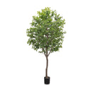 Faux Aralia Tree - Faux Aralia Tree | 8'