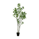 Faux Pieris Tree - Faux Pieris Tree | 8'