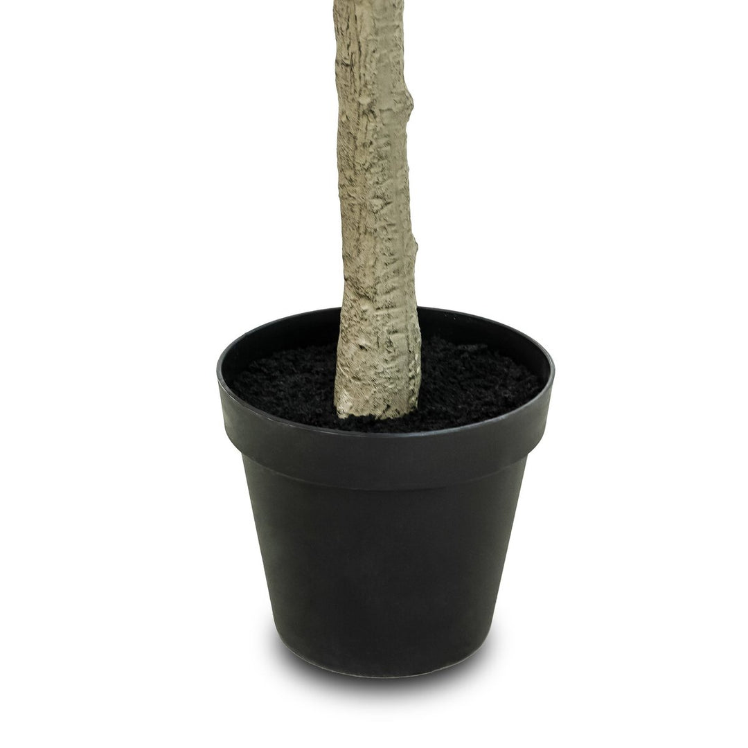 Four Hands Eucalyptus Tree