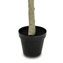Faux Eucalyptus Tree - Faux Eucalyptus Tree | 9'
