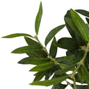 Faux Olive Tree Wide - Faux Olive Tree Wide