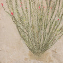 Ocotillo by Paul Meyer - Vertical Grain White Oak Floater