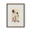 Meadow Rue No.1 by Shaina Page - RoofTop 1.5 Rustic Walnut