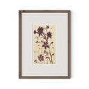 Meadow Rue No.2 by Shaina Page - RoofTop 1.5 Rustic Walnut