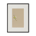 Botanical I by Brittany Smith - 1.0 Brimfield Black | 18" x 24"