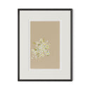 Botanical II by Brittany Smith - 1.0 Brimfield Black | 14" x 18"