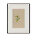 Botanical V by Brittany Smith - 1.0 Brimfield Black | 14" x 18"
