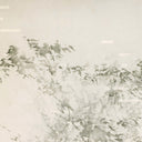 Paisaje Flotante XVIII by Adrian White - Black Vertical Grain 2.5 White Oak | 48" x 33"