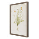 Papaveraceae No. 1 by Laurel-Dawn Latshaw - RoofTop 1.5 Rustic Walnut