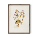 Viola No. 2 by Laurel-Dawn Latshaw - RoofTop 1.5 Rustic Walnut