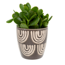 Arches Pot