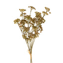 Meadow Grass Bouquet