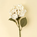 Hydrangea Floral Stem