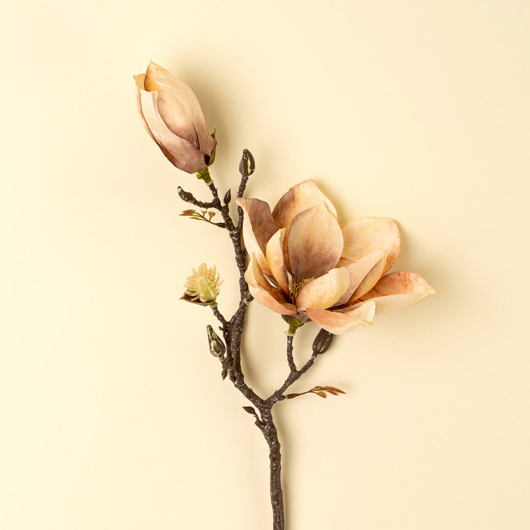Magnolia Branch
