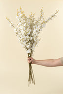 White Orchid Spray | Overstock