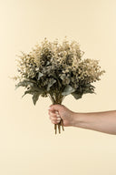 Primrue Eucalyptus Spray | Green