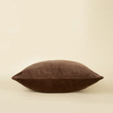 Vera Velvet Pillow | 20" x 20" | Clove