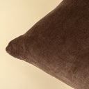 Vera Velvet Pillow | 20" x 20" | Clove