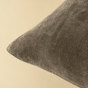 Vera Velvet Pillow | 20" x 20" | Cypress