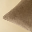 Vera Velvet Pillow | 20" x 20" | Birch