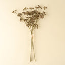 Meadow Grass Bouquet | Brown