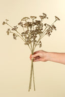 Meadow Grass Bouquet | Brown