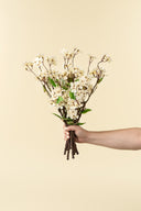 Pear Blossom Branch | Small