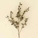 Smoked Eucalyptus Spray