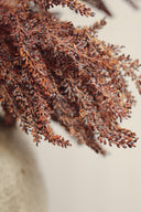 Autumn Grain Spray