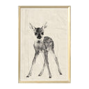 Baby Fawn