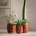 Planter | Fable