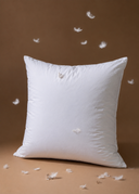 Down-Fill Pillow Insert | 25" x 25" | Set of 2