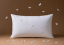 Down-Fill Pillow Insert | 17" x 25" | Set of 2