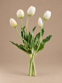 White Tulip Bundle | Set of 5