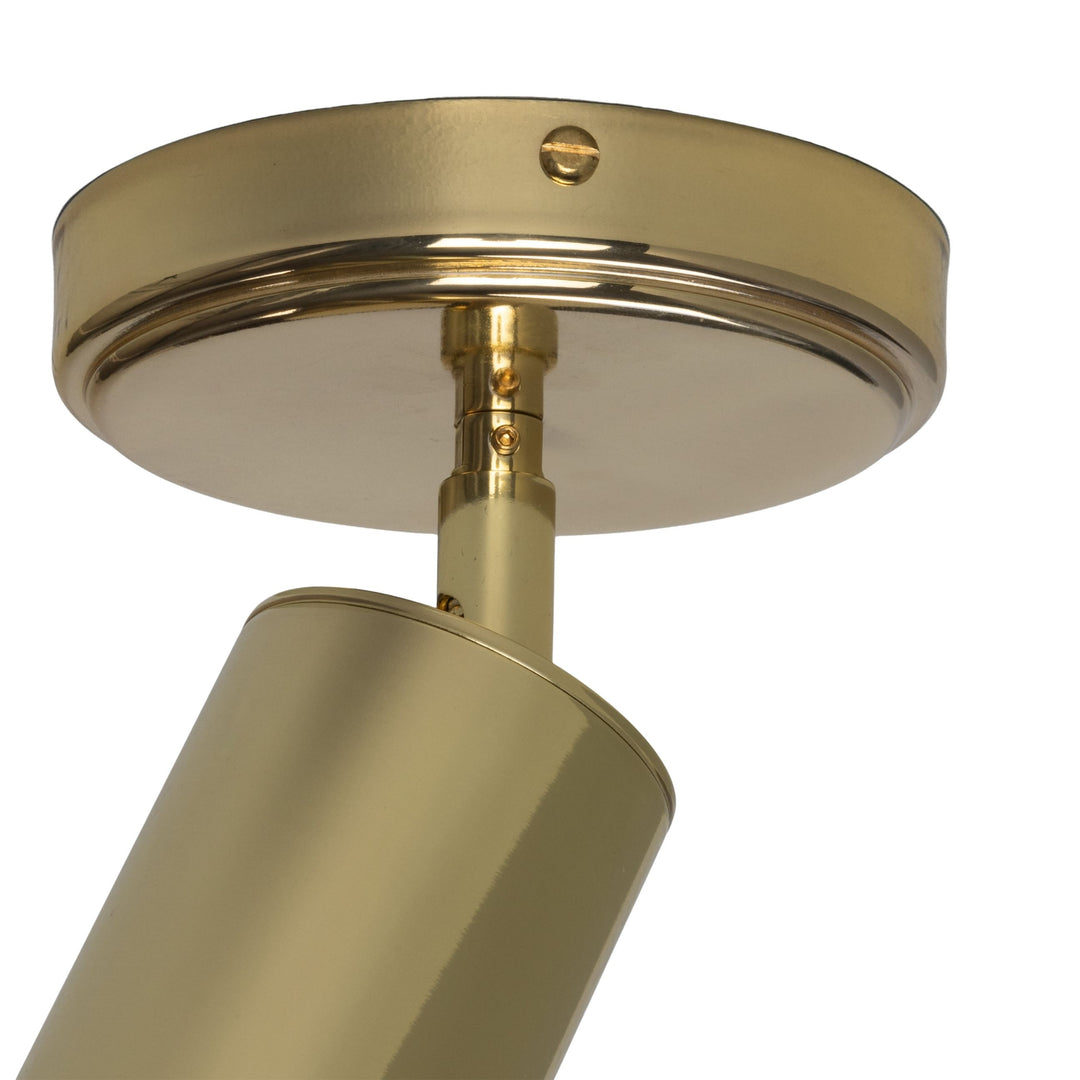 Evanston Directional Brass Ceiling Spot Light